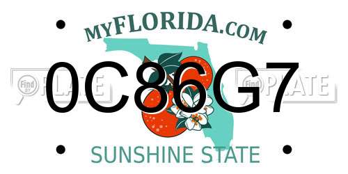 0C86G7 Florida License Plate