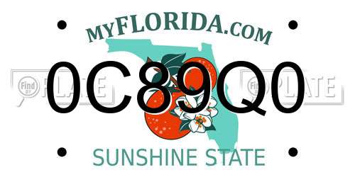 0C89Q0 Florida License Plate