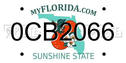 0CB2066 Florida License Plate
