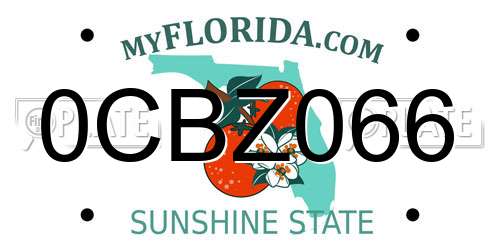 0CBZ066 Florida License Plate