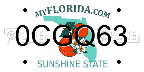 0CGQ63 Florida License Plate