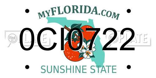 0CI0722 Florida License Plate