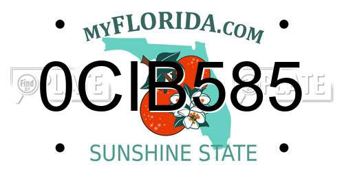 0CIB585 Florida License Plate