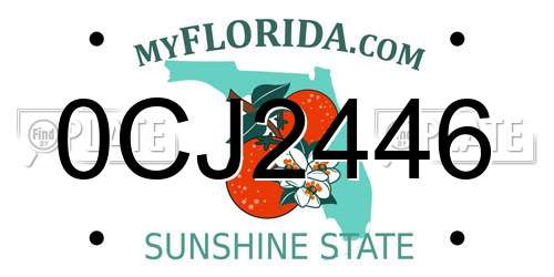 0CJ2446 Florida License Plate