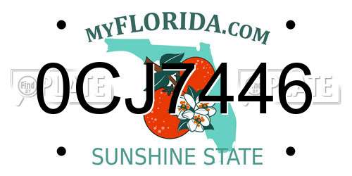 0CJ7446 Florida License Plate