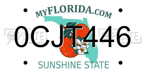 0CJT446 Florida License Plate