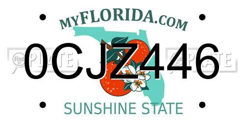 0CJZ446 Florida License Plate