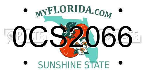 0CS2066 Florida License Plate