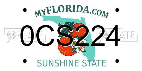 0CS224 Florida License Plate