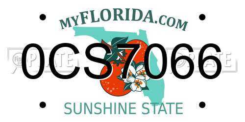 0CS7066 Florida License Plate
