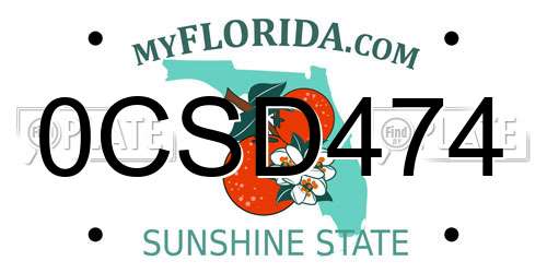 0CSD474 Florida License Plate