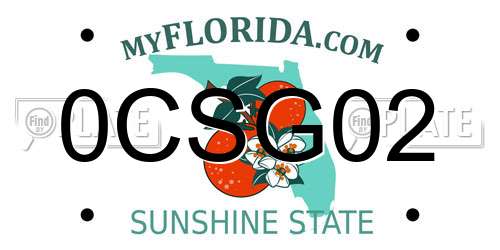 0CSG02 Florida License Plate