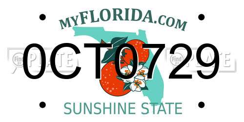 0CT0729 Florida License Plate