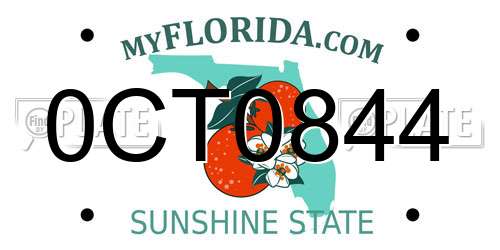 0CT0844 Florida License Plate