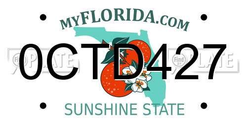 0CTD427 Florida License Plate