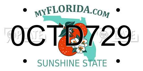 0CTD729 Florida License Plate