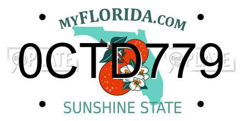 0CTD779 Florida License Plate