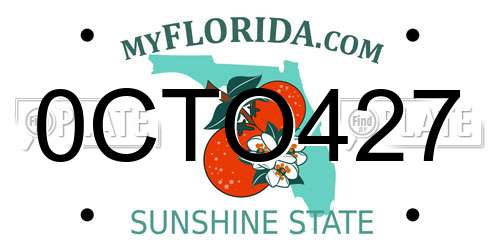0CTO427 Florida License Plate