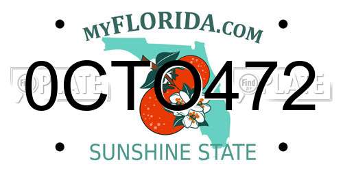 0CTO472 Florida License Plate