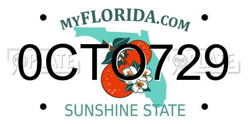 0CTO729 Florida License Plate