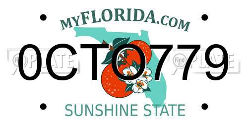 0CTO779 Florida License Plate