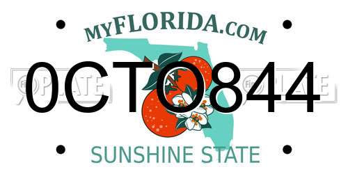 0CTO844 Florida License Plate
