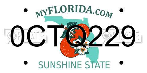 0CTQ229 Florida License Plate