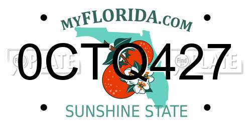 0CTQ427 Florida License Plate
