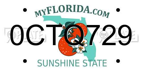 0CTQ729 Florida License Plate