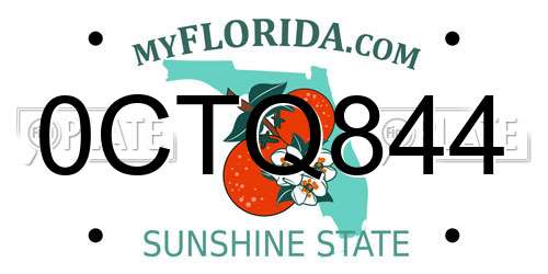 0CTQ844 Florida License Plate