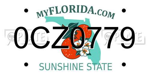 0CZ0779 Florida License Plate