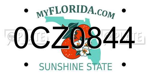 0CZ0844 Florida License Plate