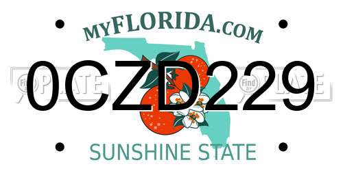 0CZD229 Florida License Plate