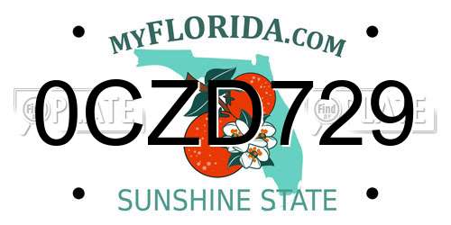 0CZD729 Florida License Plate