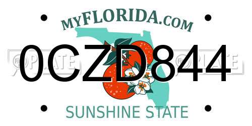 0CZD844 Florida License Plate