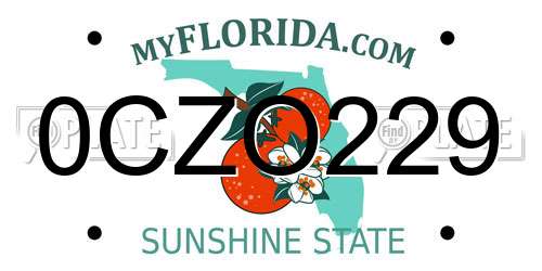 0CZO229 Florida License Plate