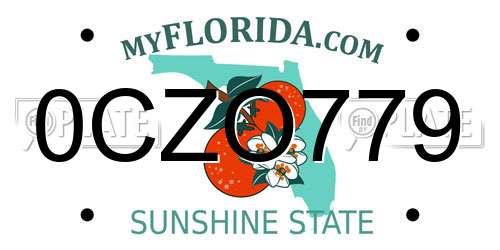 0CZO779 Florida License Plate