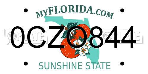 0CZO844 Florida License Plate