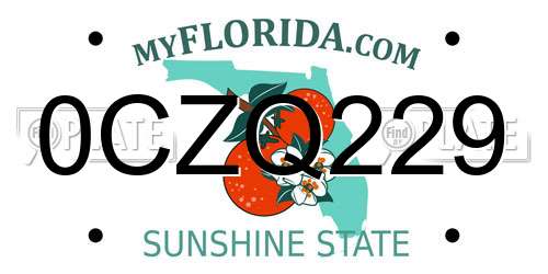 0CZQ229 Florida License Plate