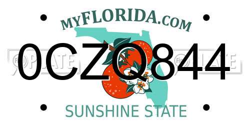 0CZQ844 Florida License Plate