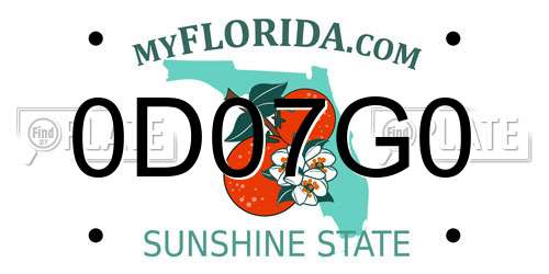 0D07G0 Florida License Plate
