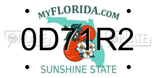 0D71R2 Florida License Plate