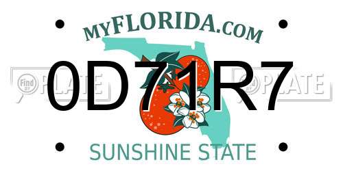 0D71R7 Florida License Plate