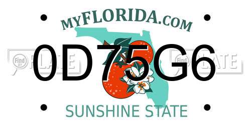 0D75G6 Florida License Plate