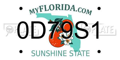 0D79S1 Florida License Plate