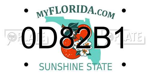 0D82B1 Florida License Plate
