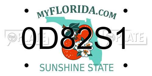 0D82S1 Florida License Plate
