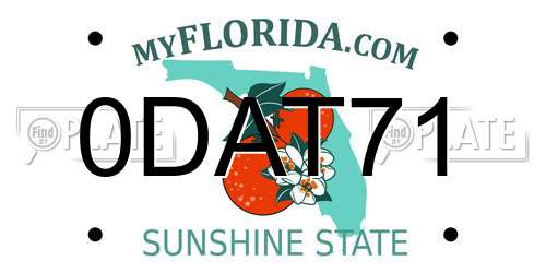 0DAT71 Florida License Plate