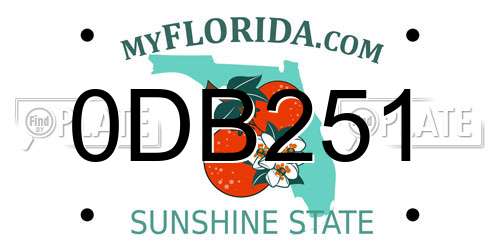 0DB251 Florida License Plate