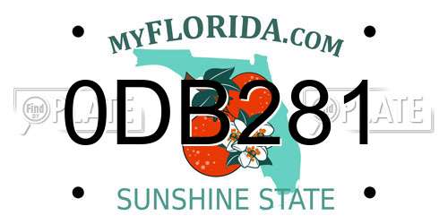 0DB281 Florida License Plate